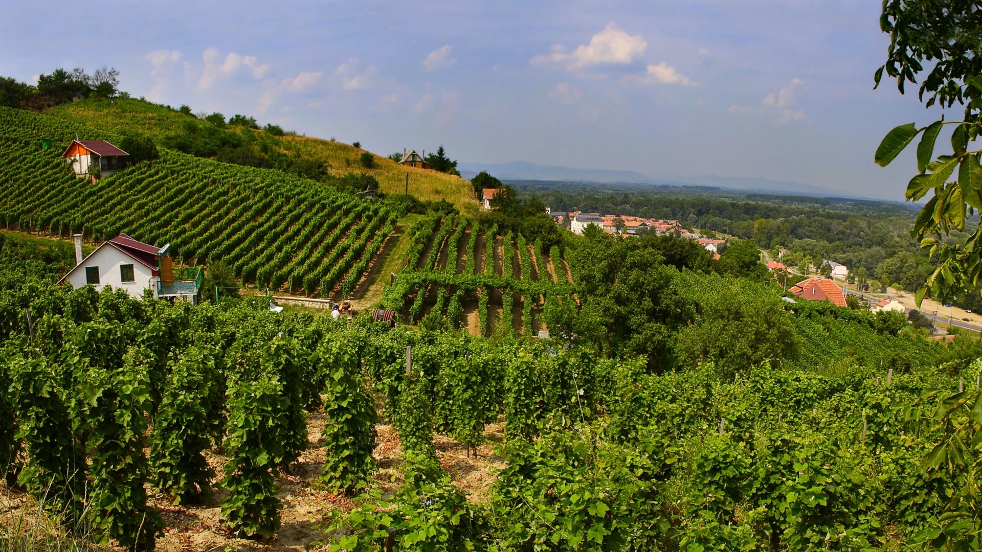 Hungary